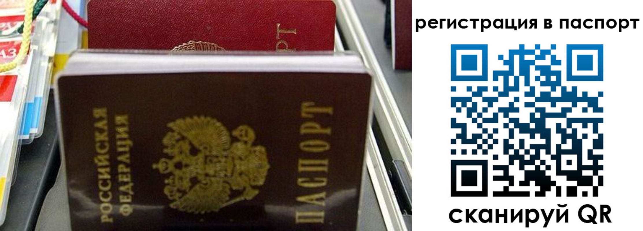 прописка для школы в Старой Руссе